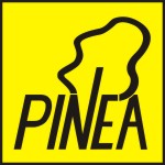 Pinea